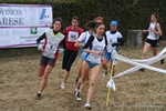 IMG_3510.jpg