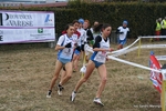 IMG_3531.jpg