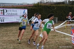 IMG_3542.jpg