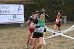 IMG_3551.jpg