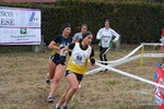 IMG_3553.jpg