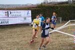 IMG_3559.jpg