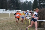 IMG_3659.jpg