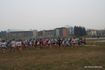 IMG_3764.jpg
