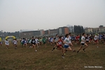 IMG_3765.jpg