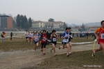 IMG_3771.jpg