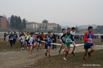 IMG_3773.jpg