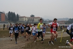 IMG_3774.jpg