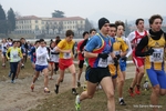 IMG_3781.jpg