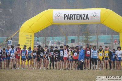 Clicca per vedere l'immagine alla massima grandezza