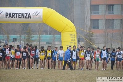 Clicca per vedere l'immagine alla massima grandezza