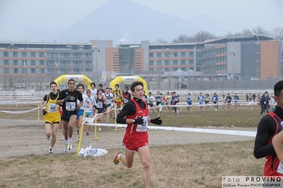 Clicca per vedere l'immagine alla massima grandezza
