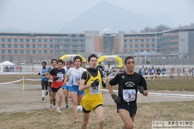 Clicca per vedere l'immagine alla massima grandezza