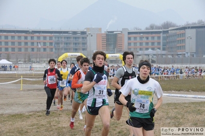 Clicca per vedere l'immagine alla massima grandezza