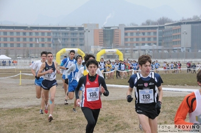 Clicca per vedere l'immagine alla massima grandezza