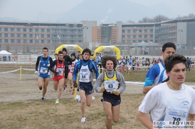 Clicca per vedere l'immagine alla massima grandezza