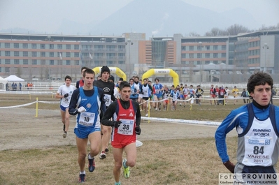 Clicca per vedere l'immagine alla massima grandezza
