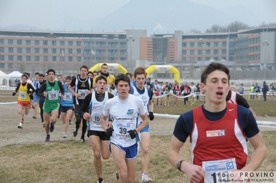 Clicca per vedere l'immagine alla massima grandezza