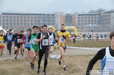 Clicca per vedere l'immagine alla massima grandezza