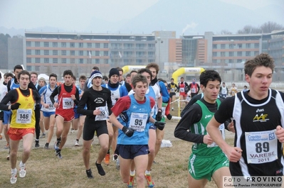 Clicca per vedere l'immagine alla massima grandezza