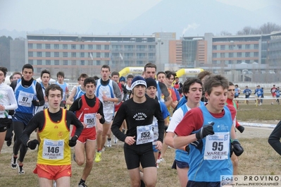 Clicca per vedere l'immagine alla massima grandezza