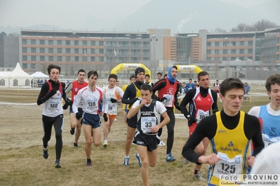 Clicca per vedere l'immagine alla massima grandezza