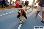 22072011_leingam_078.JPG