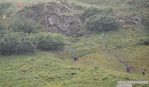 DSC_4344.jpg