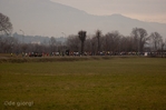 Maratona__del_Brembo_11-27.jpg