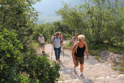 Clicca per vedere l'immagine alla massima grandezza