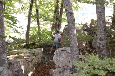Clicca per vedere l'immagine alla massima grandezza