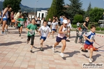 Nome del file=03072011_cavola_morselli_079.JPG
Dimensione del file=425KiB
Dimensioni=1024x681
Aggiunta il=03 Lug 2011 03072011_cavola_morselli_079.JPG