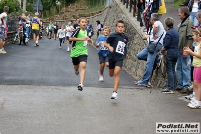 Clicca per vedere l'immagine alla massima grandezza