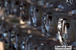 17072011_cinquecerri_189.jpg