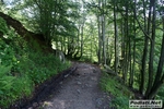 forbic_itrail_050611_morselli_004.JPG