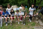 forbic_trail_050611_morselli_038.JPG