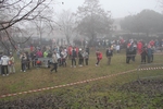 cross_lupatotino_2011_012.jpg