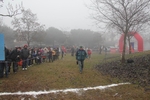 cross_lupatotino_2011_015.jpg