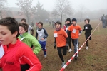 cross_lupatotino_2011_129.jpg