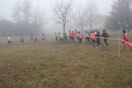 cross_lupatotino_2011_130.jpg