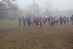 cross_lupatotino_2011_189.jpg