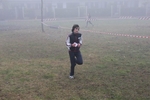 cross_lupatotino_2011_240.jpg