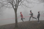cross_lupatotino_2011_250.jpg
