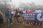 cross_lupatotino_2011_328.jpg