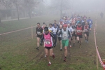 cross_lupatotino_2011_330.jpg