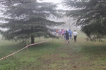 cross_lupatotino_2011_337.jpg