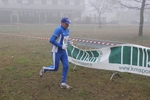 cross_lupatotino_2011_380.jpg