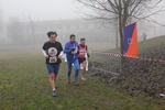cross_lupatotino_2011_384.jpg