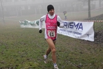 cross_lupatotino_2011_398.jpg