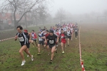 cross_lupatotino_2011_438.jpg